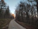 Forêt de Vélaines Nord